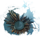 Illustration for article titled Shooting Challenge Polar Panoramas Gallery